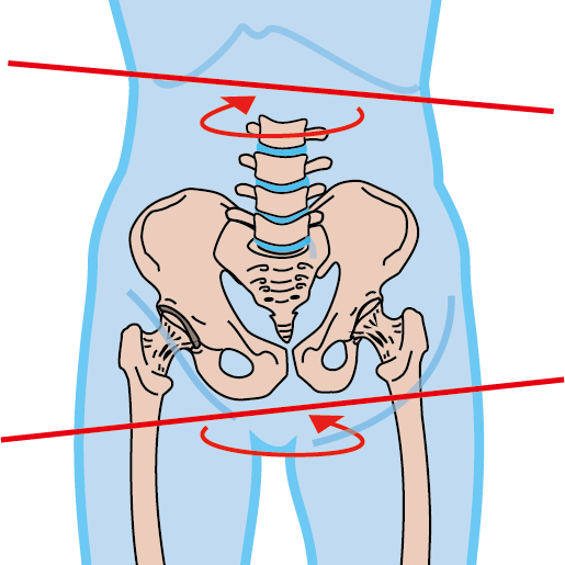 骨盤の回旋